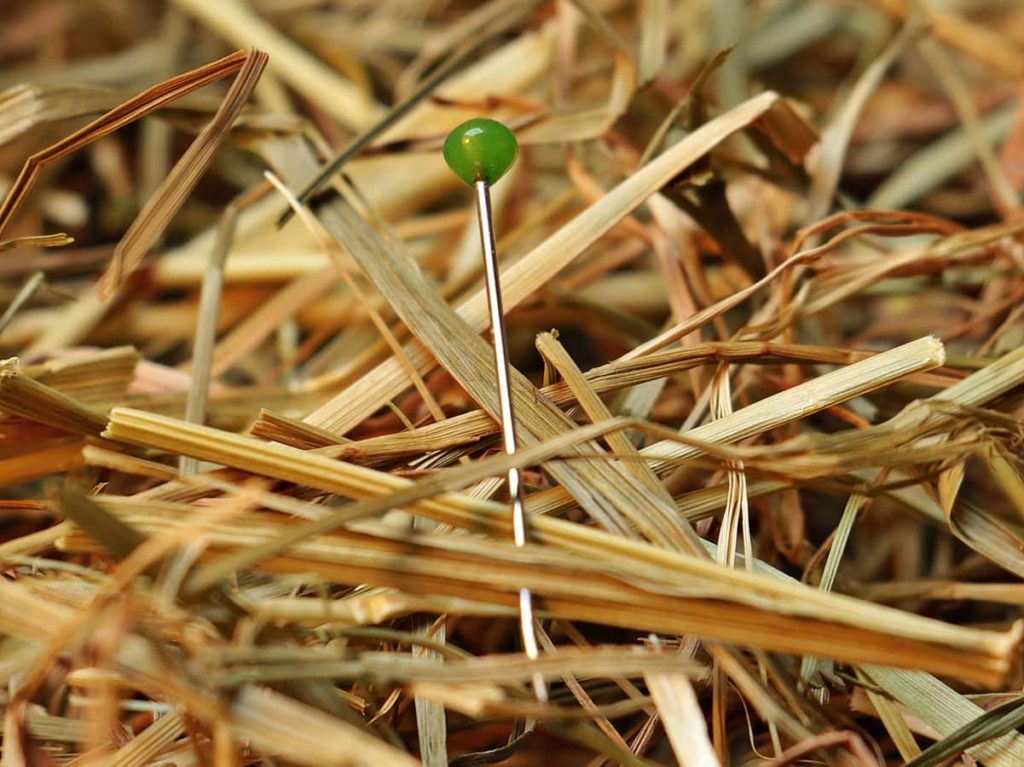 needle in haystack