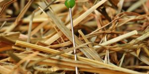 needle in haystack
